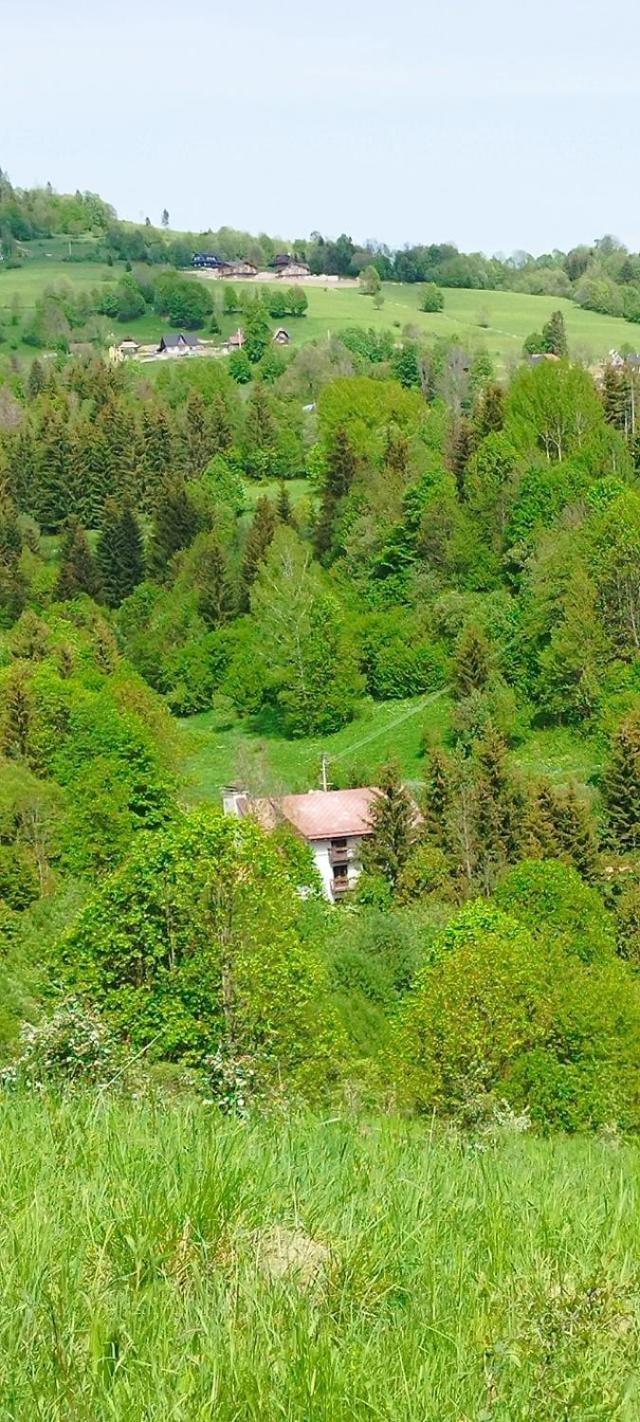 Penzion Zazrifka Zázrivá Dış mekan fotoğraf