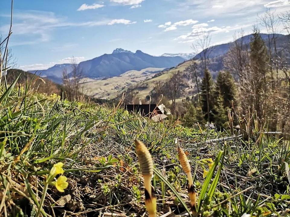 Penzion Zazrifka Zázrivá Dış mekan fotoğraf