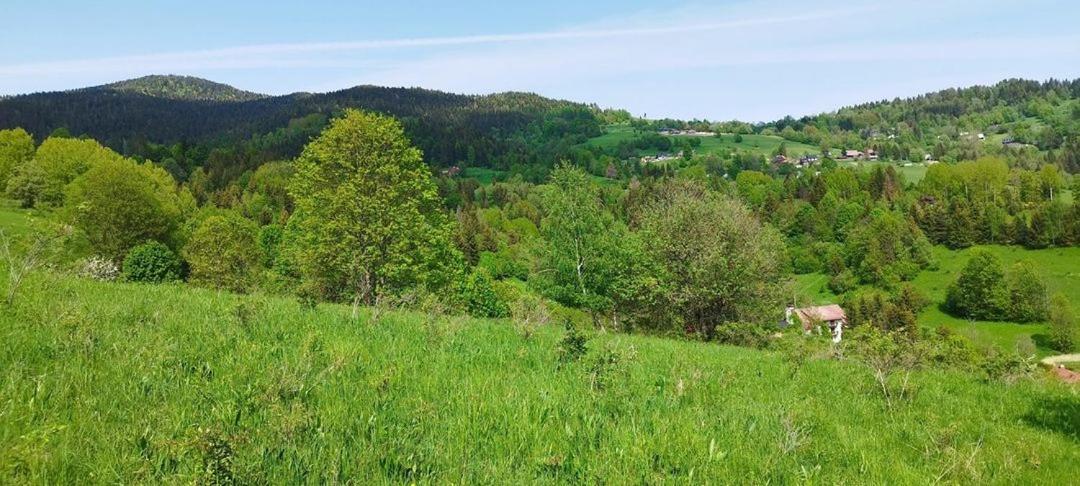 Penzion Zazrifka Zázrivá Dış mekan fotoğraf