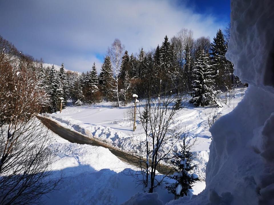 Penzion Zazrifka Zázrivá Dış mekan fotoğraf
