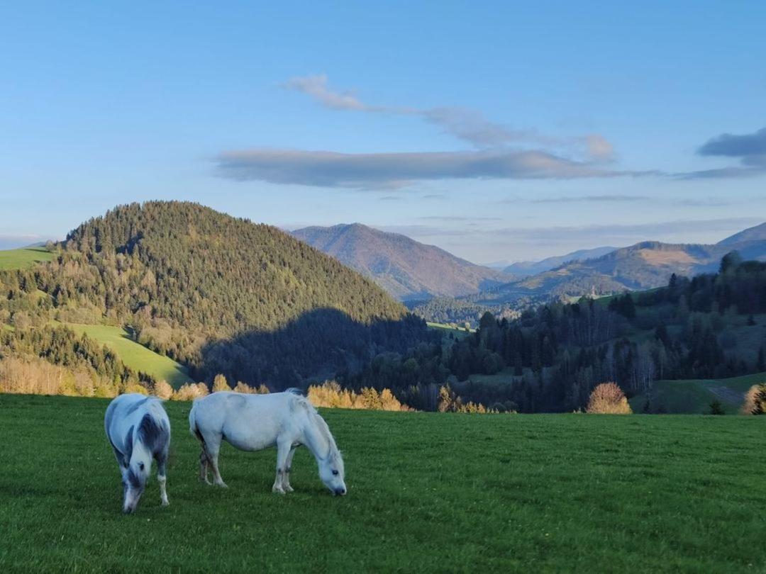 Penzion Zazrifka Zázrivá Dış mekan fotoğraf