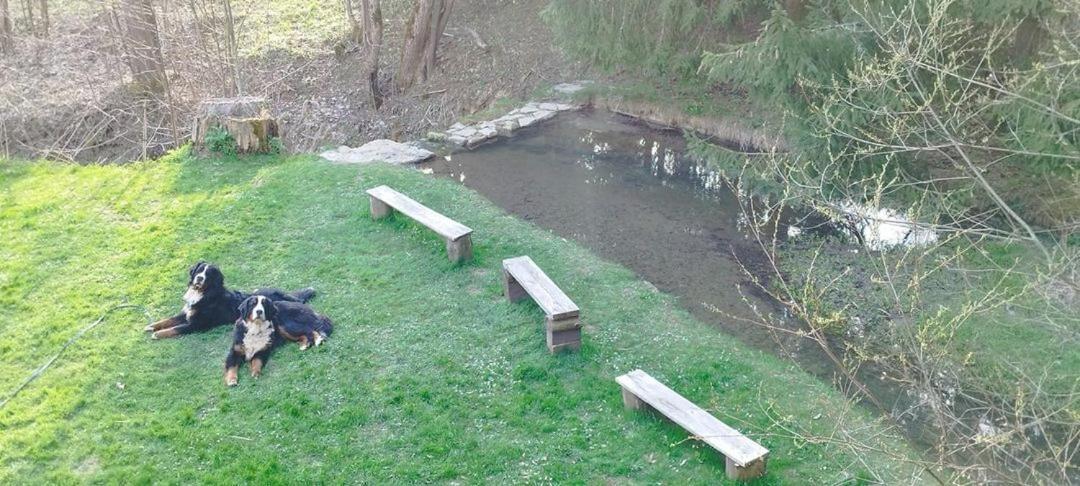 Penzion Zazrifka Zázrivá Dış mekan fotoğraf